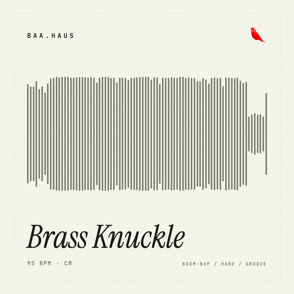 Brass Knuckle